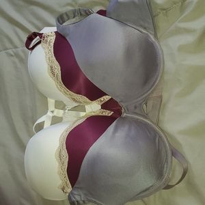 36C Bundle of 3 Bras.